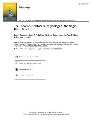 The Pliocene-Pleistocene Palynology of the Negro River, Brazil