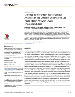 Genetic Analyses of the Critically Endangered São Paulo Marsh Antwren (Aves: Thamnophilidae)