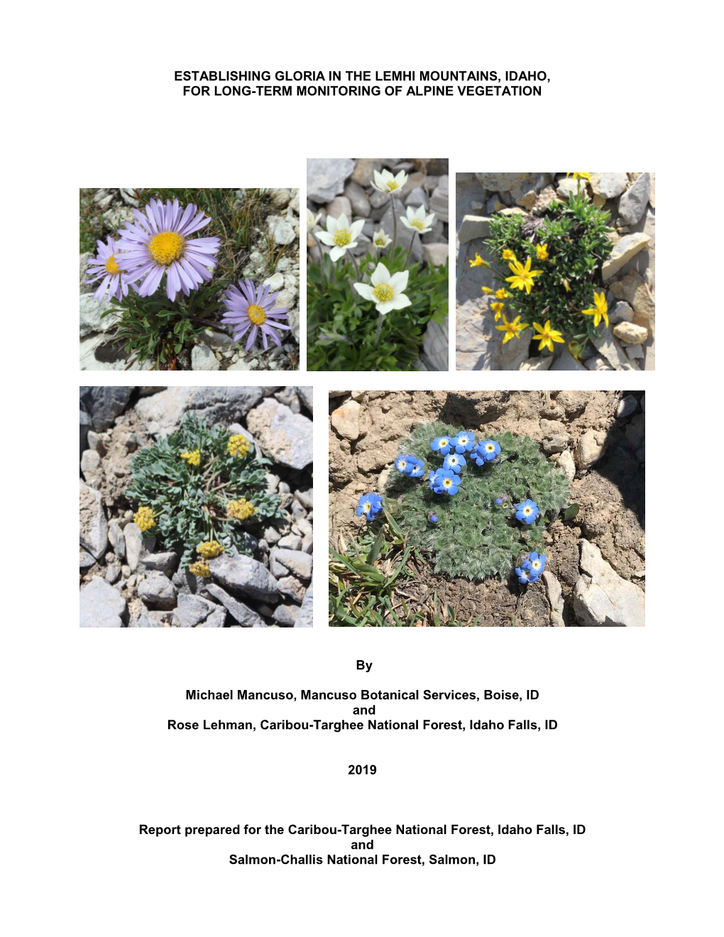 Establishing Gloria in the Lemhi Mountains, Idaho, for Long-Term Monitoring of Alpine Vegetation