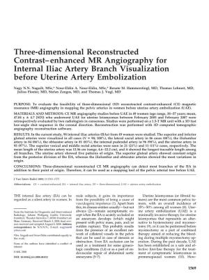 Three-Dimensional Reconstructed Contrast–Enhanced MR Angiography for Internal Iliac Artery Branch Visualization Before Uterine Artery Embolization