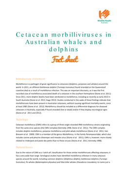 Cetacean Morbilliviruses in Australian Whales and Dolphins Jun 2013