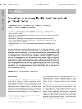 Generation of Memory B&#X000a0;Cells Inside And