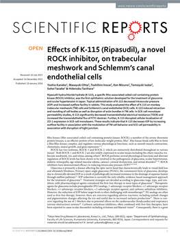 A Novel ROCK Inhibitor, on Trabecular Meshwork and Schlemm's Canal Endothelial Cells