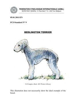 Bedlington Terrier