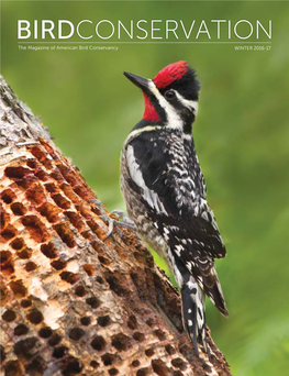 BIRDCONSERVATION the Magazine of American Bird Conservancy WINTER 2016-17 BIRD’S EYE VIEW