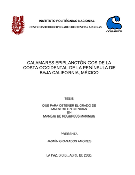 Calamares Epiplanctónicos De La Costa Occidental De La Península De Baja California, México