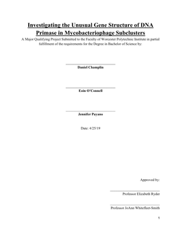 Investigating the Unusual Gene Structure of DNA Primase In