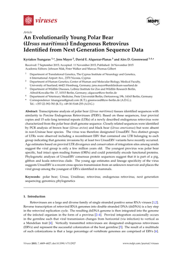 An Evolutionarily Young Polar Bear (Ursus Maritimus) Endogenous Retrovirus Identiﬁed from Next Generation Sequence Data