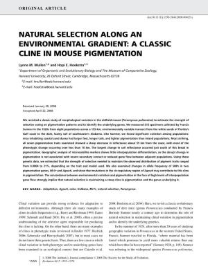 Natural Selection Along an Environmental Gradient: a Classic Cline in Mouse Pigmentation