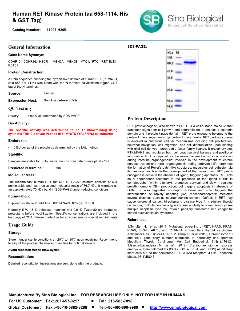 Human RET Kinase Protein (Aa 658-1114, His & GST Tag)