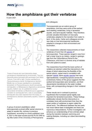 How the Amphibians Got Their Vertebrae 9 June 2021