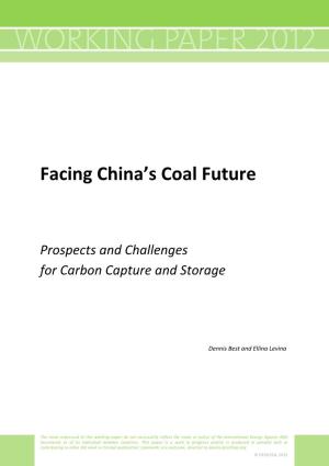 Facing China's Coal Future