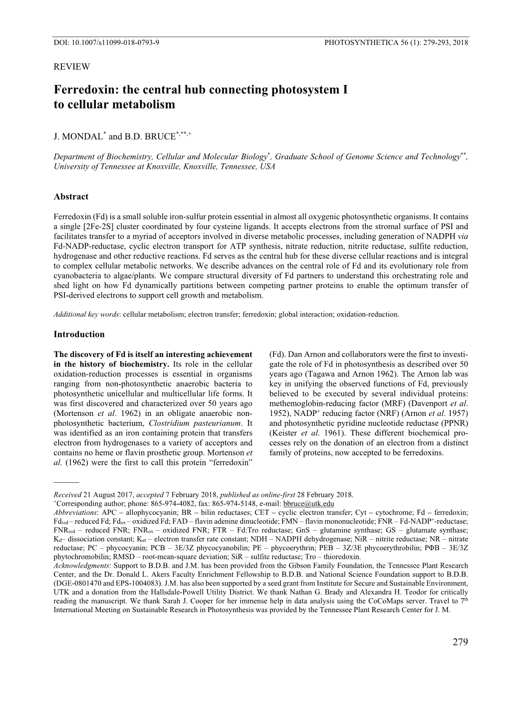 Ferredoxin: the Central Hub Connecting Photosystem I to Cellular Metabolism