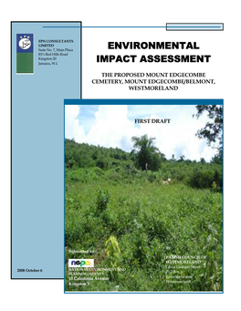 Environmental Impact Assessment Impact