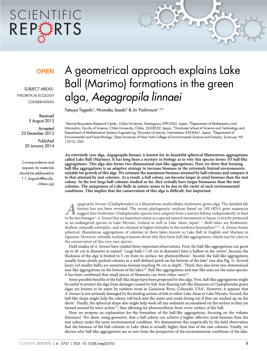 A Geometrical Approach Explains Lake Ball (Marimo) Formations in The