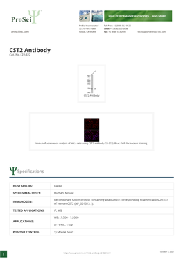 CST2 Antibody Cat