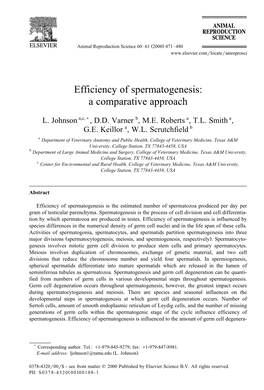 Efficiency of Spermatogenesis: a Comparative Approach