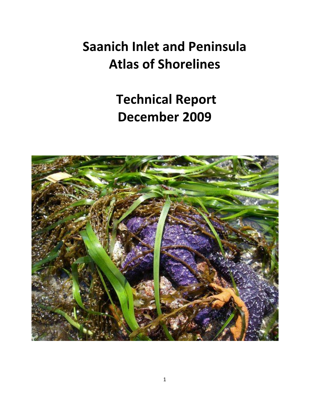 Saanich Inlet and Peninsula Atlas of Shorelines Technical Report