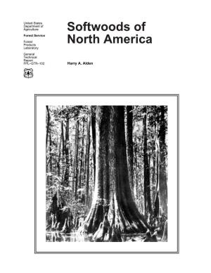 Softwoods of North America. Gen