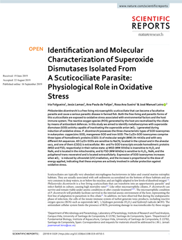 Identification and Molecular Characterization Of