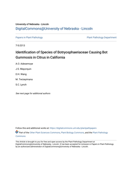 Identification of Species of Botryosphaeriaceae Causing Bot Gummosis in Citrus in California