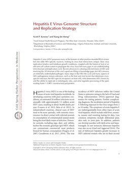 Hepatitis E Virus Genome Structure and Replication Strategy