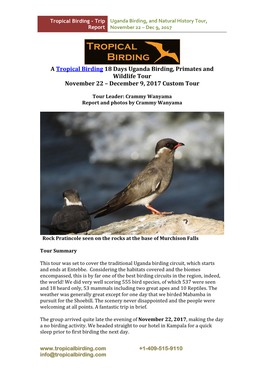 A Tropical Birding 18 Days Uganda Birding, Primates and Wildlife Tour November 22 – December 9, 2017 Custom Tour