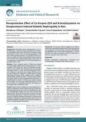 Renoprotective Effect of Co-Enzyme Q10 and N-Acetylcysteine On