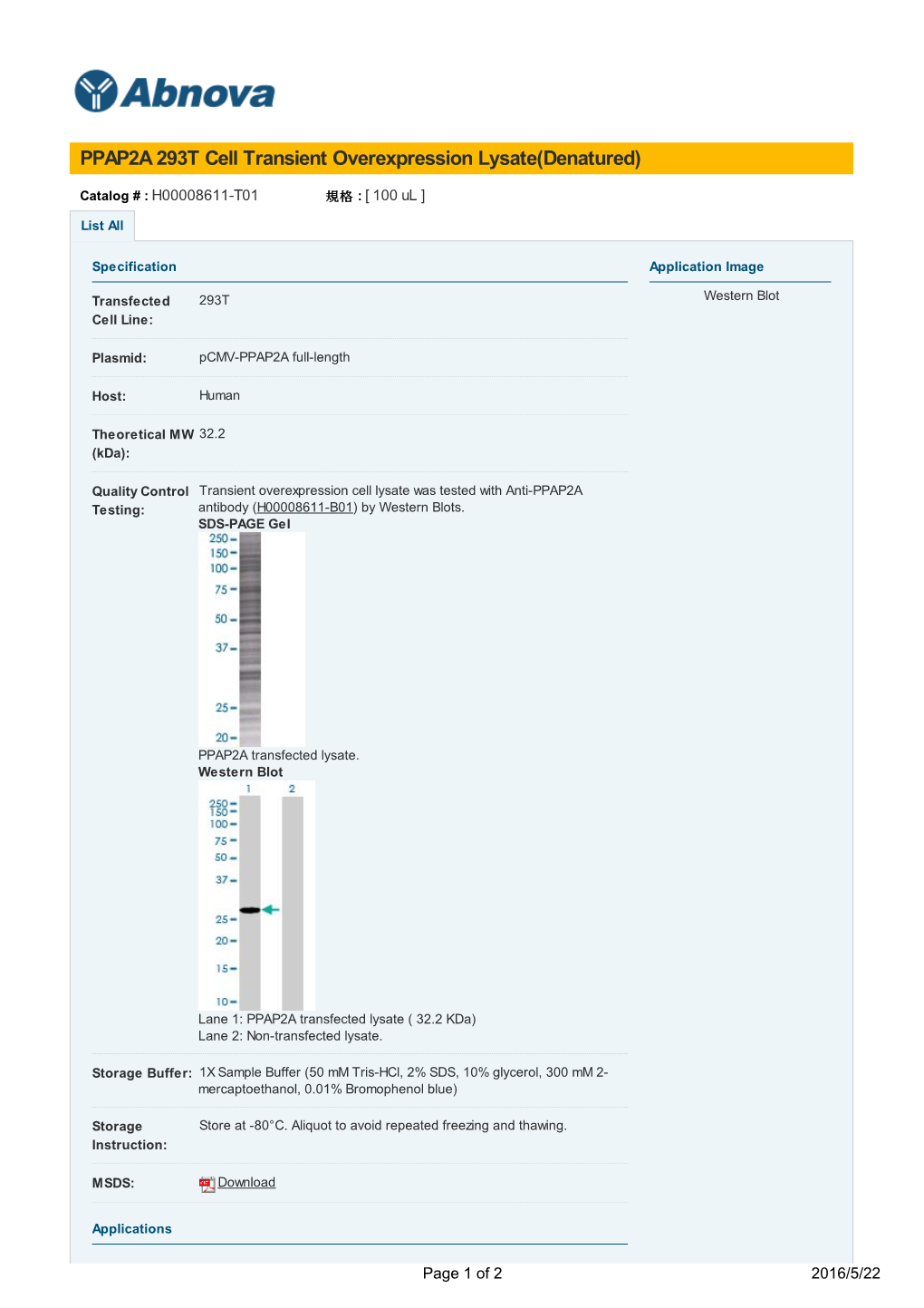 PPAP2A 293T Cell Transient Overexpression Lysate(Denatured)