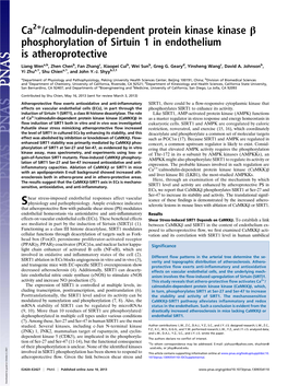 Calmodulin-Dependent Protein Kinase Kinase Β Phosphorylation of Sirtuin 1 in Endothelium Is Atheroprotective