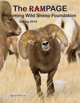 The RAMPAGE Wyoming Wild Sheep Foundation Spring 2016