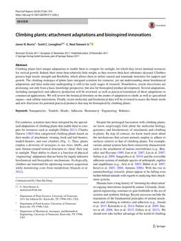 Climbing Plants: Attachment Adaptations and Bioinspired Innovations