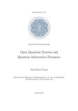 Open Quantum Systems and Quantum Information Dynamics