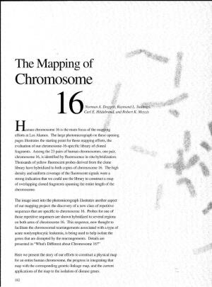 The Mapping of Chromosome 16