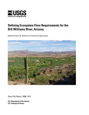 Defining Ecosystem Flow Requirements for the Bill Williams River, Arizona