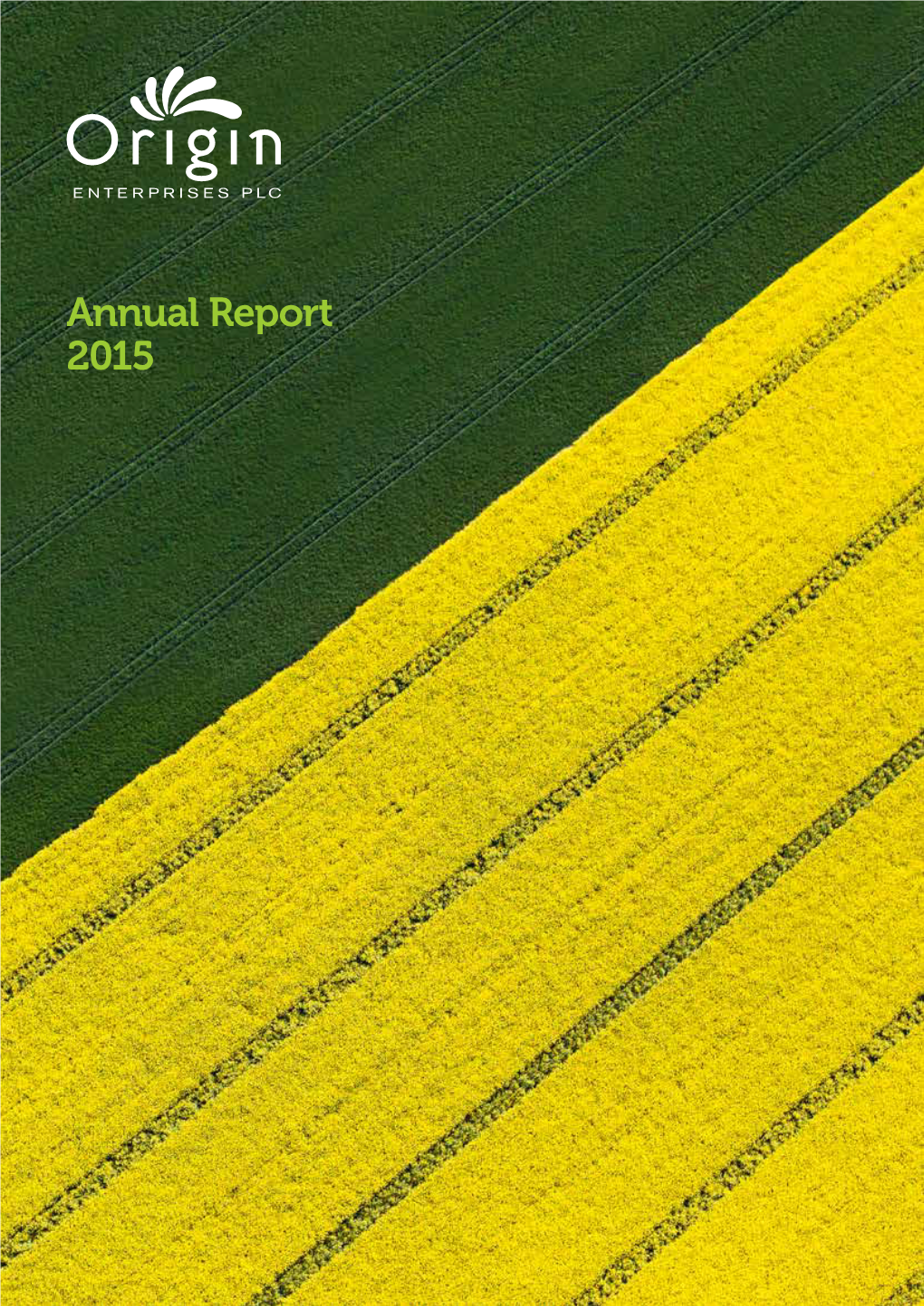 Annual Report 2015