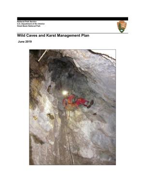 Wild Caves and Karst Management Plan, Great Basin National Park