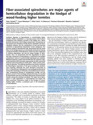 Fiber-Associated Spirochetes Are Major Agents of Hemicellulose Degradation in the Hindgut of Wood-Feeding Higher Termites