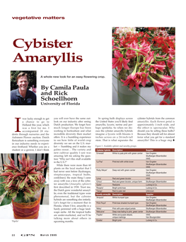 Cybister Amaryllis Vegetative Matters