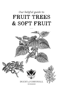 Fruit Trees & Soft Fruit