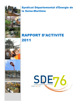 Rapport D'activite 2011