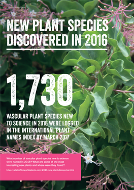 Vascular Plant Species New to Science in 2016 Were Logged in the International Plant Names Index by March 2017