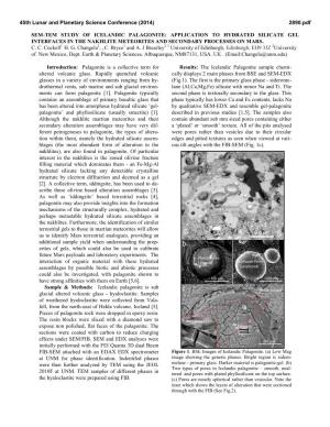 Sem-Tem Study of Icelandic Palagonite: Application to Hydrated Silicate Gel Interfaces in the Nakhlite Meteorites and Secondary Processes on Mars