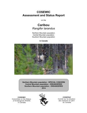 COSEWIC Assessment and Status Report on the Caribou Rangifer