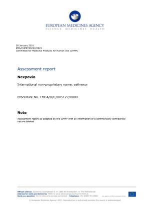 Assessment Report