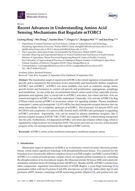 Recent Advances in Understanding Amino Acid Sensing Mechanisms That Regulate Mtorc1