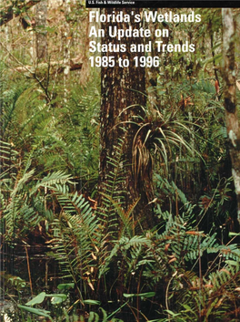 Florida's Wetlands: an Update on Status and Trends, 1985 to 1996