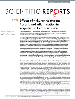 Effects of Rikkunshito on Renal Fibrosis and Inflammation in Angiotensin II