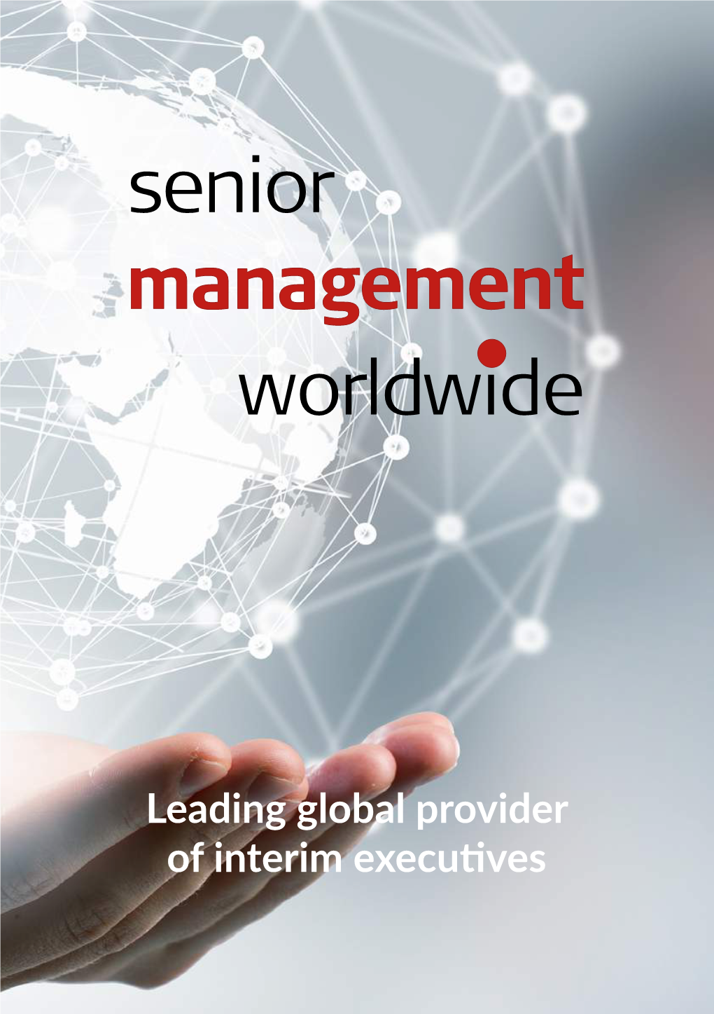 Leading Global Provider of Interim Executives Leading Global Provider of Interim Executives