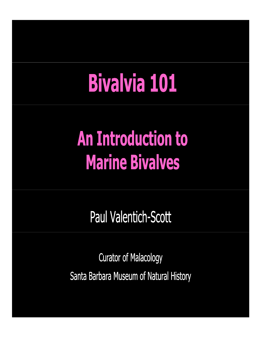 Bivalvia 101